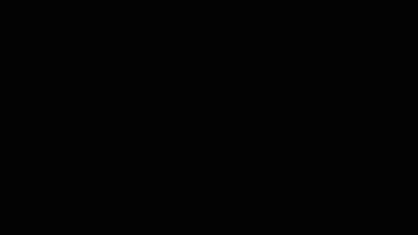 387697270_1445911625967785_5235889043458175119_n