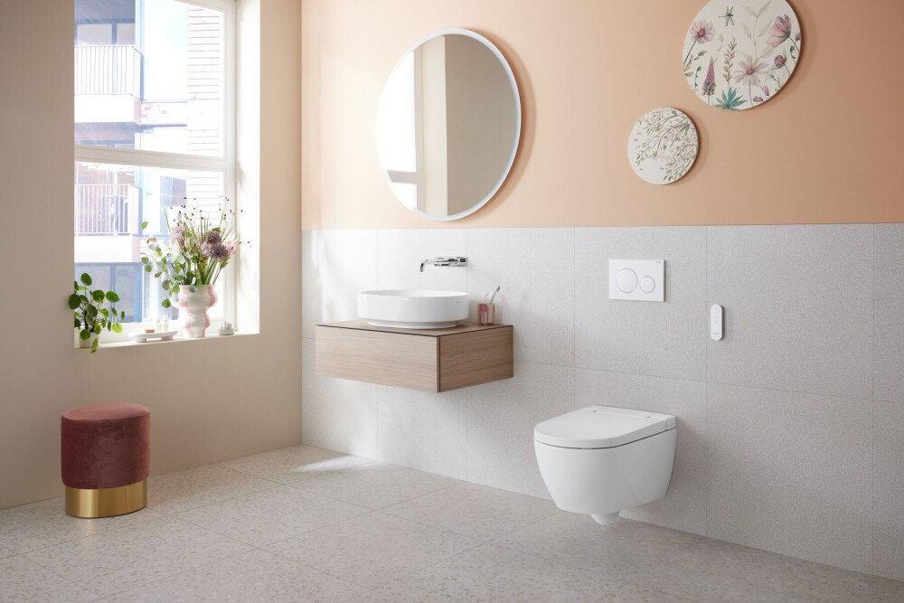 2024_Geberit AquaClean Alba_Urban_Remote control_Sigma20_VariForm_Option_light off_Big Size