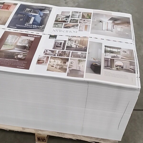 398744606_240363902382848_2226353531186221049_n