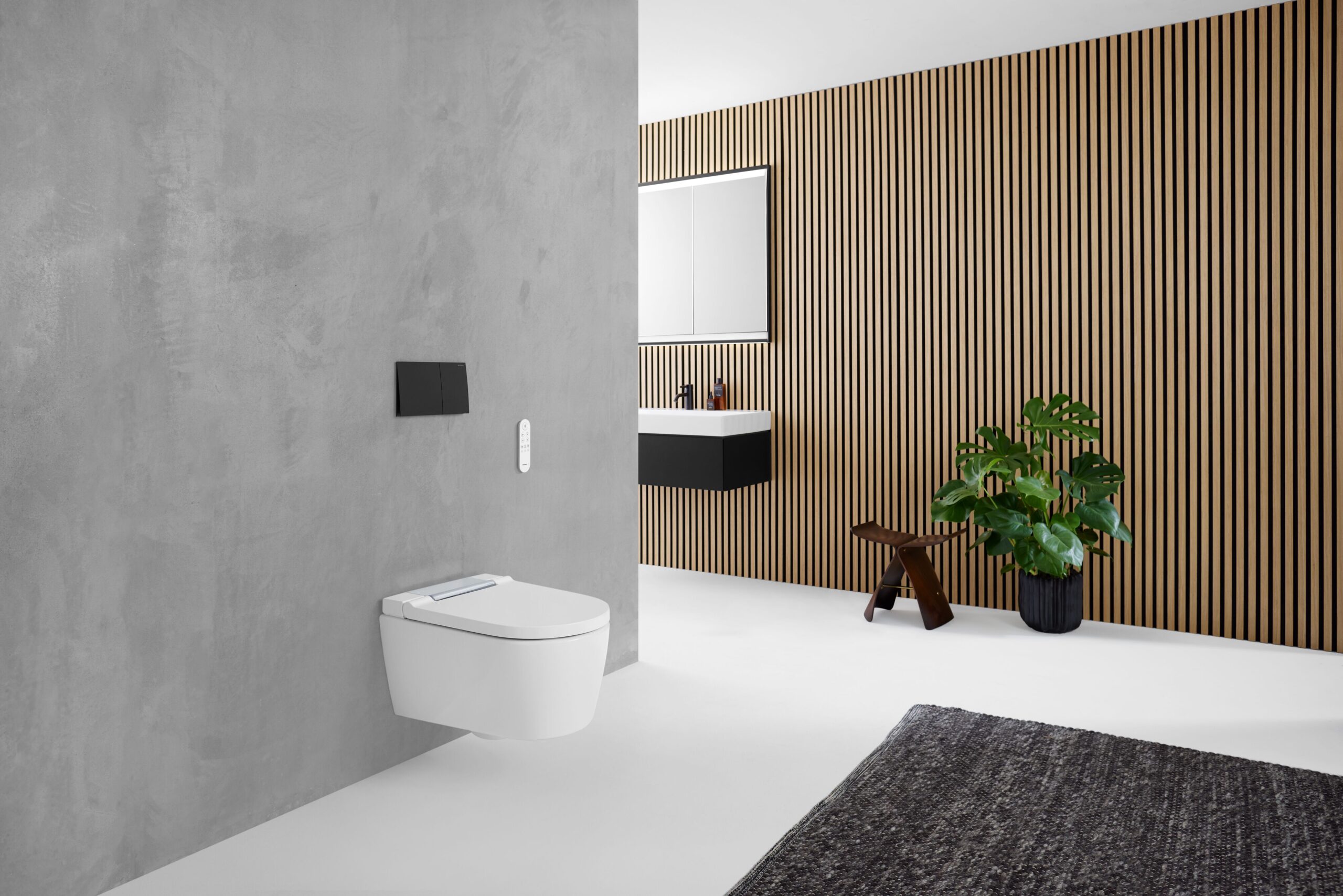2024_Geberit AquaClean Sela_remote control_Sigma70 square_ONE_carpet